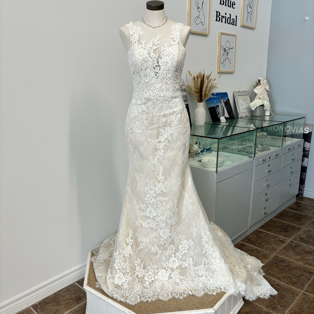 Pronovias Erma wedding dress
